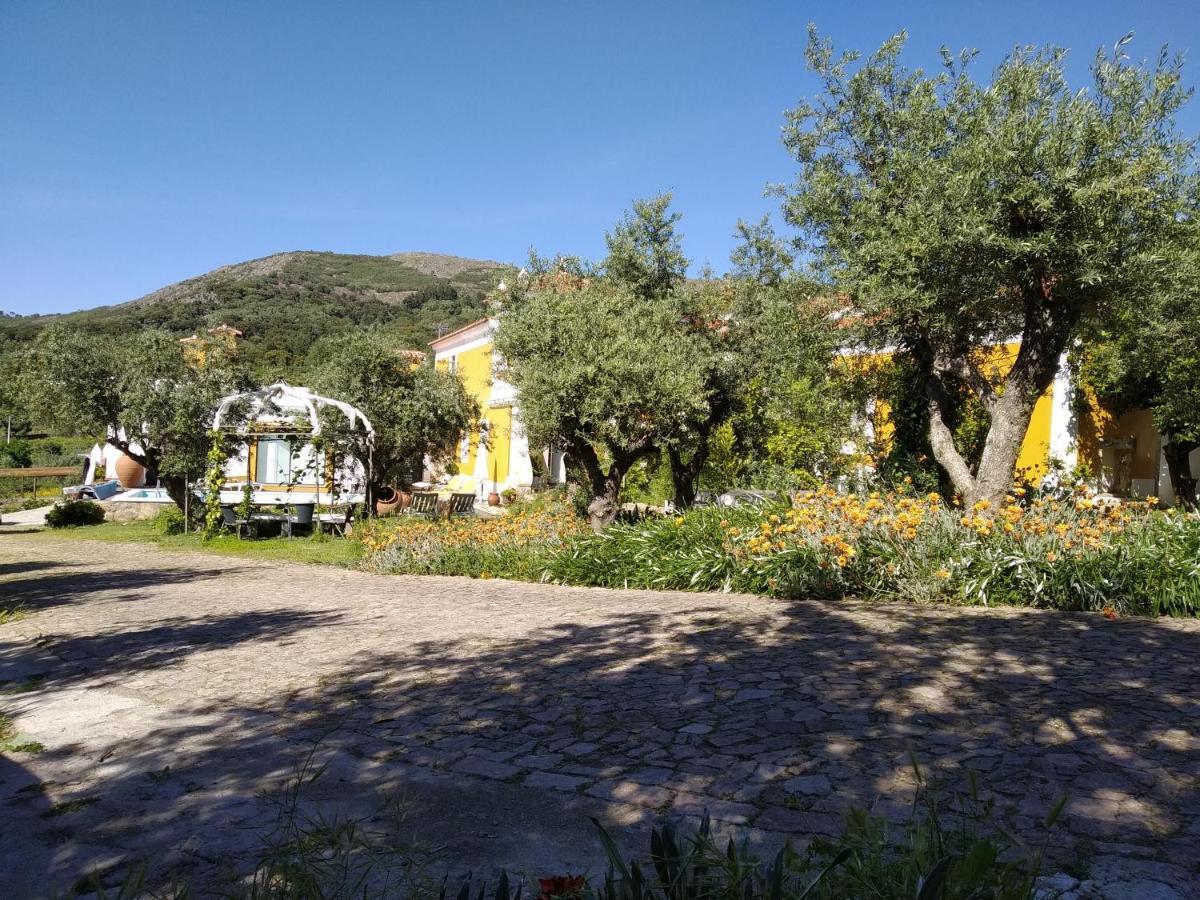 Hostal Casa Da Paleta Castelo de Vide Exterior foto